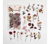Natural plant collection Green Leaf Decorative PVC Stickers Scrapbooking Label Diary Stationery Album Phone Cup Journal Planner