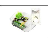 TORTUGUERA para Tortugas de Agua Y Bloque de Calcio Gratis, Regula ácido y Necesario para su caparazón - terrario/Acuario – L32cm, W23cm, H10cm.