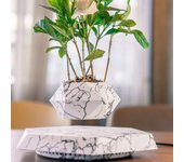 Levitating Air Bonsai Pot Rotation Flower Pot Planters Magnetic Suspension Floating Pot Potted Plant Home Without Plants