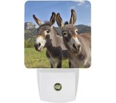 Luz nocturna inteligente con sensor LED, luz nocturna enchufable de bajo consumo, luces nocturnas con divertidos burros impresos, luces nocturnas que se enchufan a la pared con sensor automático de anochecer a amanecer