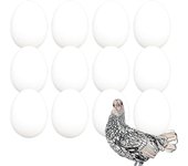 FINCA CASAREJO Packs de Huevos Falsos Macizos de Gallina Enana o Kika.