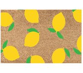 Summer Door Mat Non Slip Welcome Door Mat Decorative Front Door Mat 40x60cm Low Profile Doormat for Bathroom Entryway