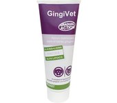 GINGIVET PASTA 100gr
