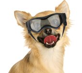 Protección ulviololeta DE LAS Gafas del perro para el perro Pequeño a Mediano DE LA Raza, Vidrios antiniebla a prueba de Viento de la motocicleta Del Perro
