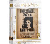 Puzle sd games harry potter indeseable harry potter 1000 piezas