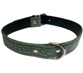 Collar Piel Labrada 25X550Mm.Verde Raza Mediana.