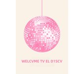 Watercolor Pink Bows Canvas Painting Wall Art Cherry Disco Ball Zebra Poster Print Picture Preppy Girl Room Home Decor Cuadros