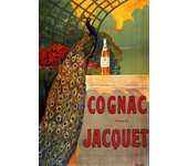 Vintage Famous Italy French Wine Fashion Ad Canvas Poster Beer,Gin,Martini,Cocktail Wall Art Pictures Home Bar Club Decor