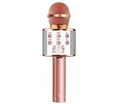 PDA de Bluetooth, 4 en 1 compatible con los dispositivos de PC/iPad/Android/iOS micro-phone inalámbrico portátil del Karaoke