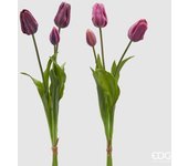 EDG Enzo De Gasperi Goma Tulip Olis 3 ramas H 48 Cm Lila o Malva 1 Cf