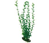 AMTRA Planta Classic Rotala SM
