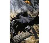 Poster dc comics batman gargola