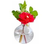 Mini jarrones magnéticos para nevera, mini jarrones magnéticos de cerámica, pequeños jarrones 3D con flores, accesorios de bricolaje para decorar el refrigerador, la cocina, el armario y la oficina (7 piezas)