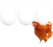 FINCA CASAREJO Pack Huevos Falsos de gallina - Huevos macizos en Color Blanco