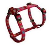 Arnés De Nylon Dogstyle 30-50 Cm - Rojo