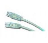 CABLE RED GEMBIRD UTP CAT5E 2M AZUL -  Recíbelo en 2-3 días laborables
