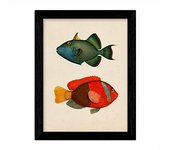 Lámina Nacnic Dos Peces Verde Azul y Rojo Amarillo y Gris en Fondo Papel Vintage Poster Papel 250 Gr Alta Calidad