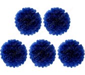 5 Pcs 6 inch Tissue Paper Pom Poms, Paper Flower Balls Hanging Fluffy Tissue Paper Flowers Decorations Paper Pompom Flowers for