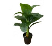 Factory Cuadros Planta Artificial Platanera 100cm - Decoración Realista