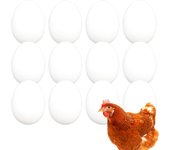 FINCA CASAREJO Pack Huevos Falsos de gallina - Huevos macizos en Color Blanco