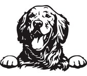Cars Accessorie Decals Funny Dog With Name Car Decal Dogs Pet Animals Laptop Vinyl Sticker For Apple