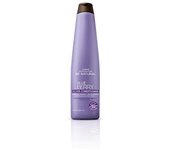 BLUEBERRY SILVER ACONDICIONADOR 350ML