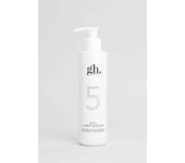 GH 5 GEL LIMPIADOR 250 ML