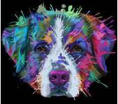 Multicolor Graffiti Dog Head Posters and Pictures Modern Wall Art Canvas Painting Golden Retriever Labrador Bulldog Home Decor