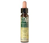 Flores De Bach Sauce-38 Elixir Floral Eco 10 ml de elixir floral  Plantis