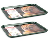 Plastic Forte Magnum - Juego de 2 Bandejas de Servicio Rectangulares. Ideales Navidad. Verde
