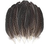 20pcs Pure Natural Guinea Fowl Feather 6-8 Inch/15-20cm Diy Decorative Feather Accessories
