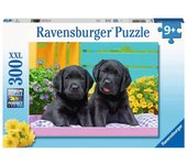 Ravensburger Puzzle Rompecabezas 300 Piezas XXL - Perritos Cachorros