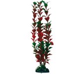 Plantas Clásicas Ludwigia MD AMTRA