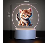 cat Usb Atmosphere Table Lamp Rgb Night Lights Led Mange Avatar Room Decor Gift Rgb Night Lights Led