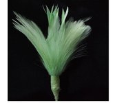 Pomo de Plumas de Oca/gallo para Personalizar Tus Muebles