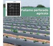 Plastic Film with Planting Holes Garden Weed Control Barrier Film Mulching Breathable Gardening Farming Landscape Sheeting