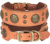 Genuine Leather Dog Collar Cool Spiked Studded Dog Collars Adjustable Pet Necklace for Medium Dogs French Bulldog Labrador