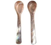 Shell Spoon, Mother of Pearl Caviar Spoons  for Caviar, Egg, Ice Cream, Coffee, Restaurant Serving (2 Pieces)