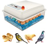 Juego de incubadora de 20 huevos para cama de agua, Incubadora doméstica totalmente automática, granja, pollo, ganso, pato, pájaro, Universal，Incubadora de huevos