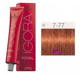 Tinte Igora Royal 7-77 Rubio Medio Cobrizo Intenso 60 ml. Schwarzkopf