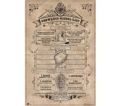Grupo Erik Póster Harry Potter Hogwarts Lista - 61 X 91 5 Cm - Papel de Brillo 150 Gr - Envío Enrollado