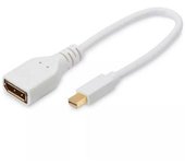 Cable Mini Displayport Microconnect - Adaptador DP M-F 15cm - Alta Calidad