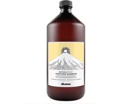 DAVINES NATURALTECH PURIFICANTE CHAMPU 1.000 ML