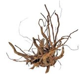 PRODAC RAIZ MEDIANA  20 a 40 cm