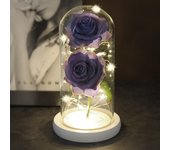 Two Roses Beauty And The Beast Red Rose In A Glass Dome On A Wooden Base Rose Lamp For Valentine's Day Christmas Gift Home Decor