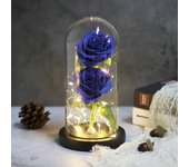 Two Roses Beauty And The Beast Red Rose In A Glass Dome On A Wooden Base Rose Lamp For Valentine's Day Christmas Gift Home Decor