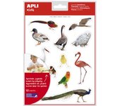 Apli Gomets Temáticos Aves Realistas y Educativos (Bolsa 144 Uds)