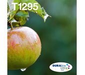 Epson Multipack 4-colours T129 EasyMail