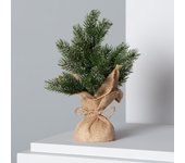 Ledkia Árbol de Navidad LED con Batería Pine