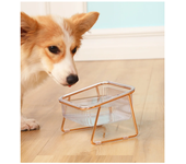 Non-slip Double Cat Bowl Transparent Dog Bowl with Stand Pet Feeding Water Bowl for Dog Cats Food Pet Feeder Bowls Product Stuff